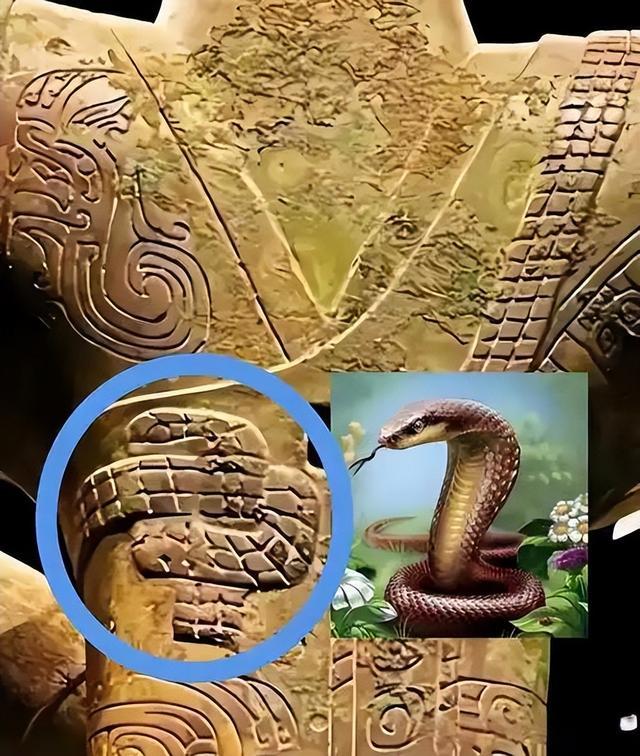 The human head and the snake body (which immortal is the human head and the snake body)